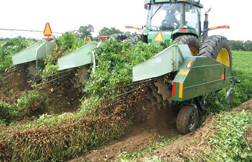 Peanut Machine for Sale 