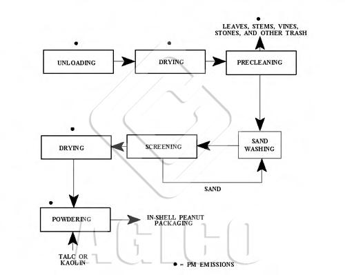 Peanut Processing Introduction 