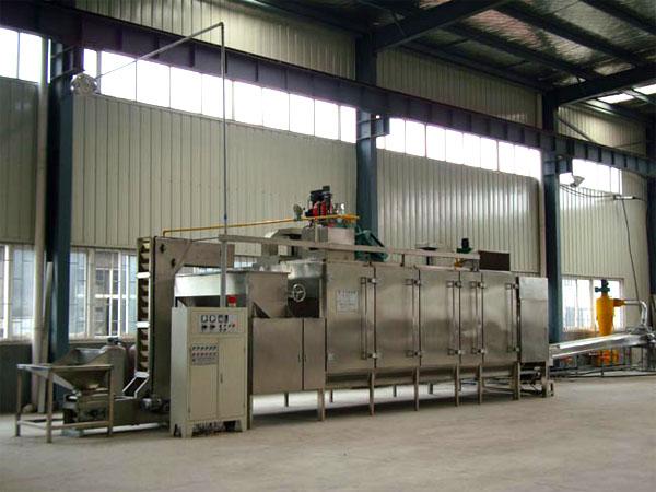 Automatic continuous peanut roaster